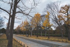 のぞく
