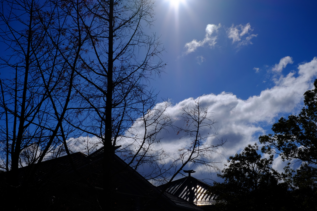 きらりと光った屋根と雲がいい～