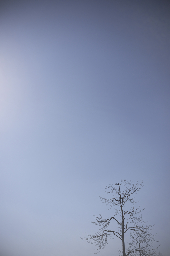 お久しぶりです。