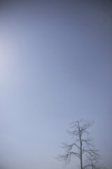 お久しぶりです。