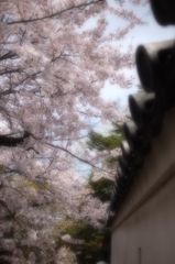 手をつないで歩こうよ