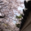 手をつないで歩こうよ