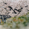 公園にて