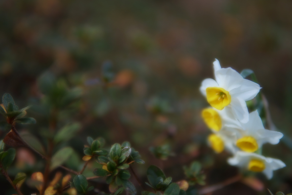 おしゃべりに花が咲く