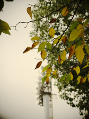 公園1