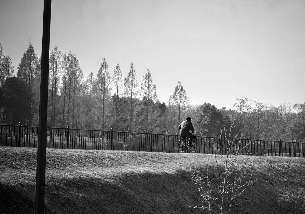 自転車と背中