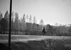 自転車と背中