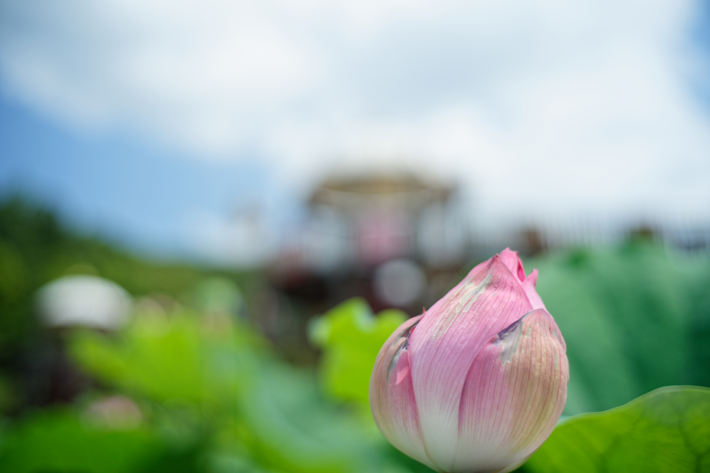 公園を眺めて