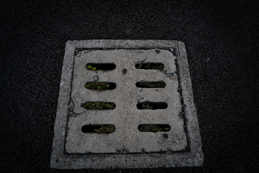 住民