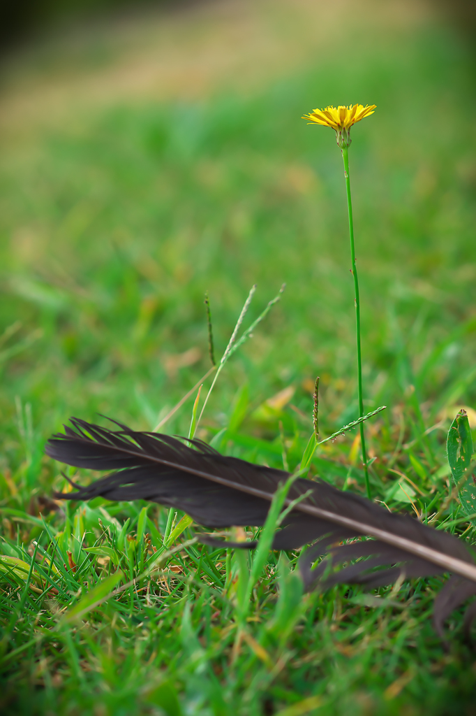 親友は旅立った。