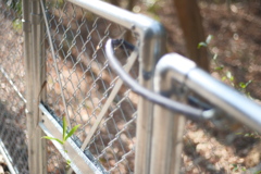 お久しぶりです。