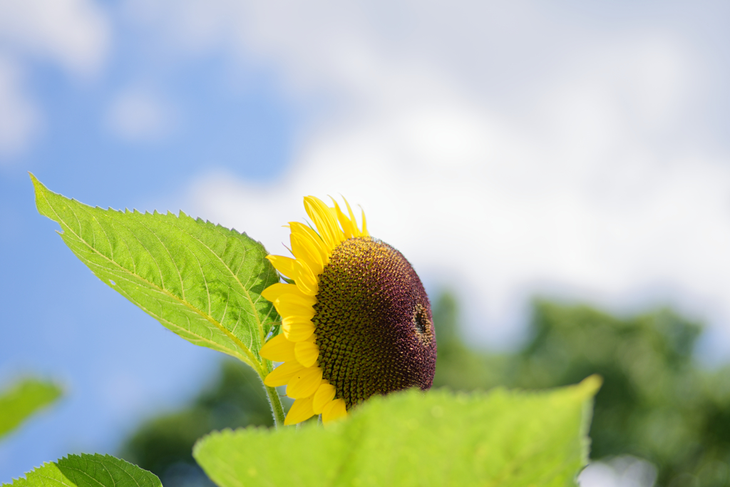 どうぞこちらへ