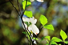 うしろからごめんなさ～い