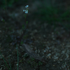 ぽつり