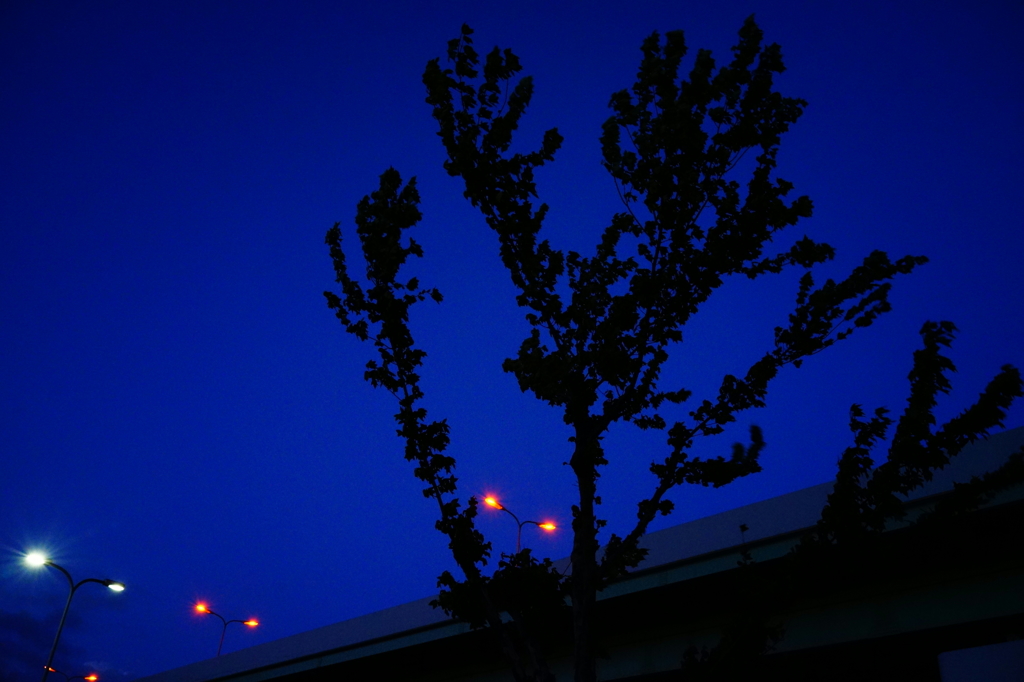蒼い夕暮れ