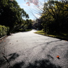 散歩道