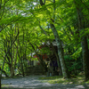 緑に囲まれて 
