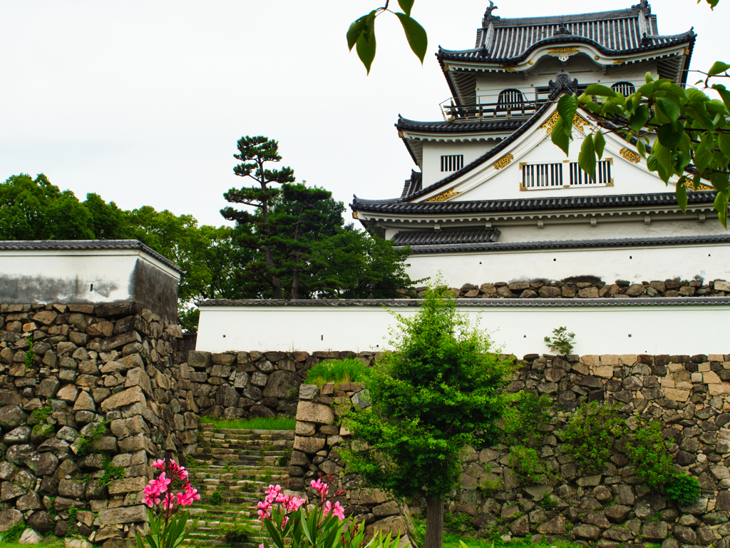 お城となんかの花