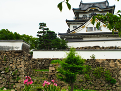 お城となんかの花