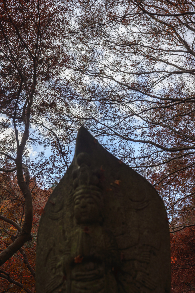 祈る心つつまれて