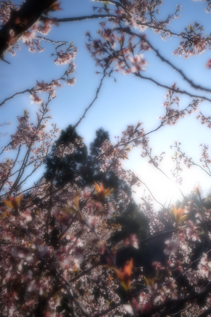 笑って迎えよう