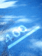 400