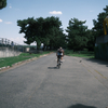朝の公園5
