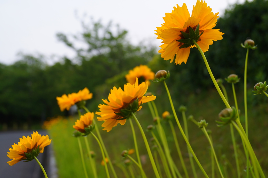 天気どうかなー？