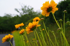 天気どうかなー？