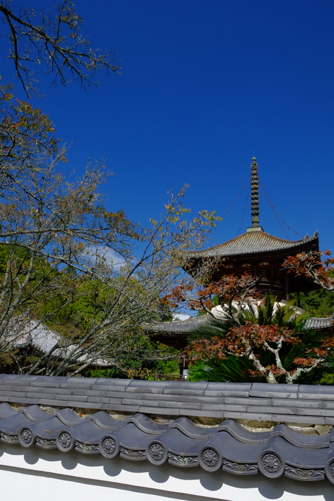 ふらりと根来寺へその1