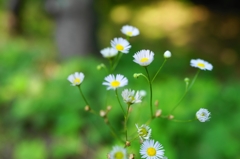 どんちゃん騒ぎ