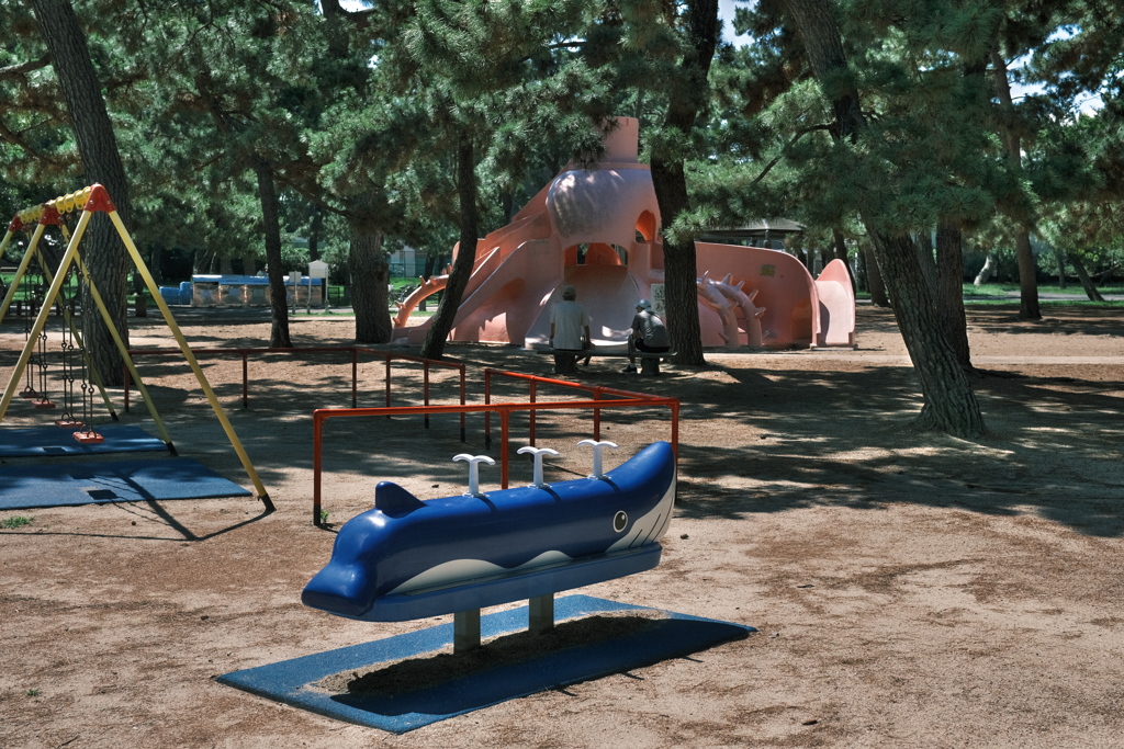 朝の公園4