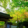 牛滝山大威徳寺にて