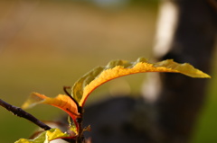 反り返りすぎです。