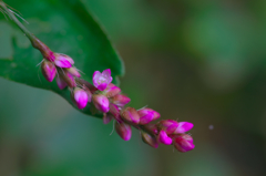 あなたはだ～れ