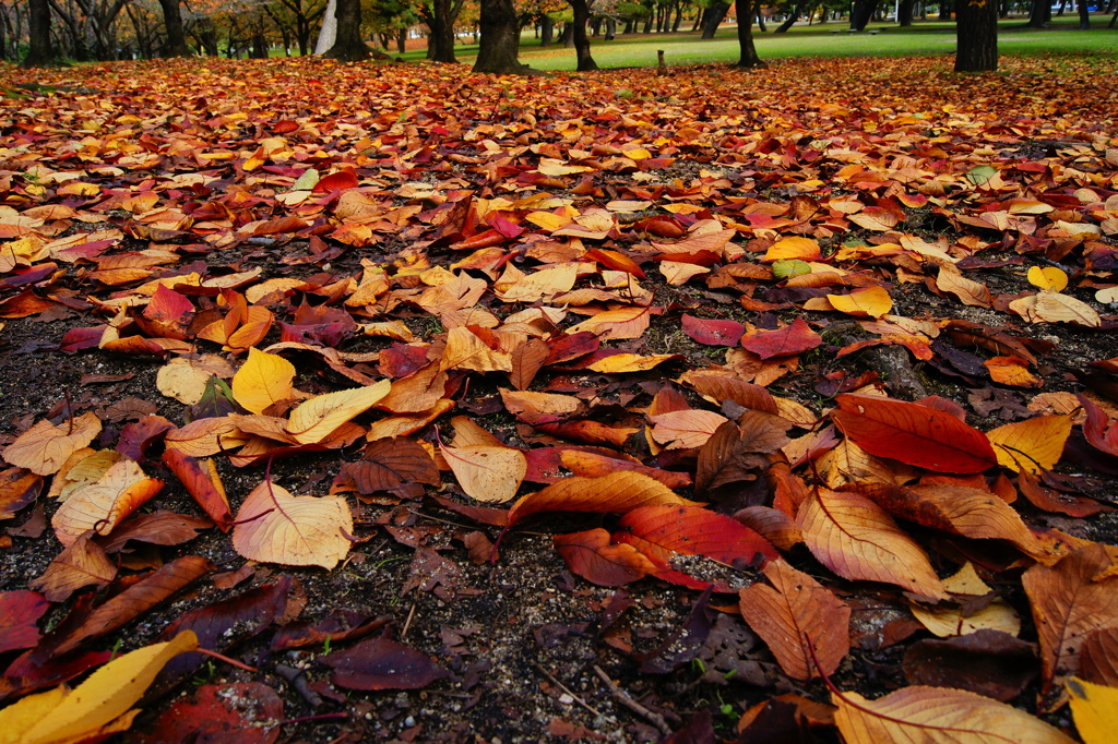 しんけいすいじゃく