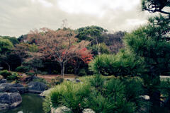 大仙公園（日本庭園）