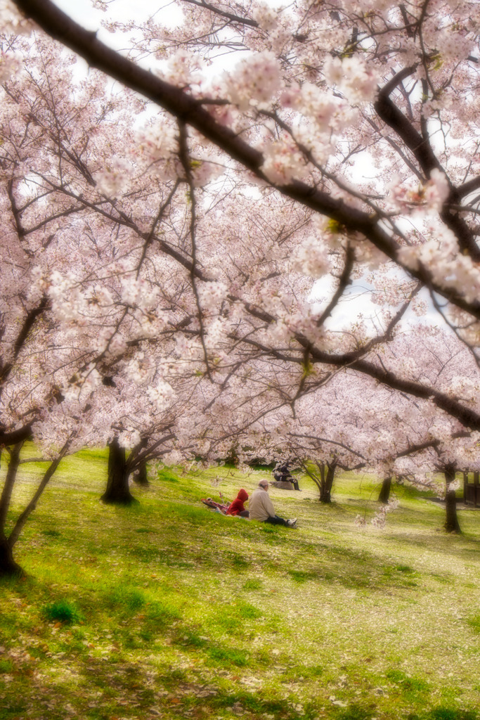 赤ずきんちゃんとおじいちゃん