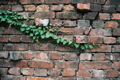 レンガの壁