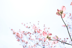 時は永遠