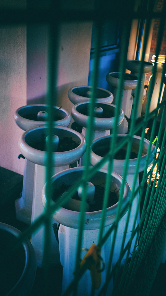 行列のできる・・・・ ？