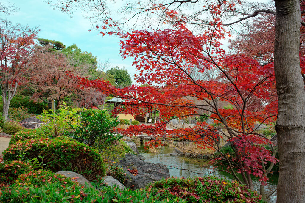 大仙公園（日本庭園）2