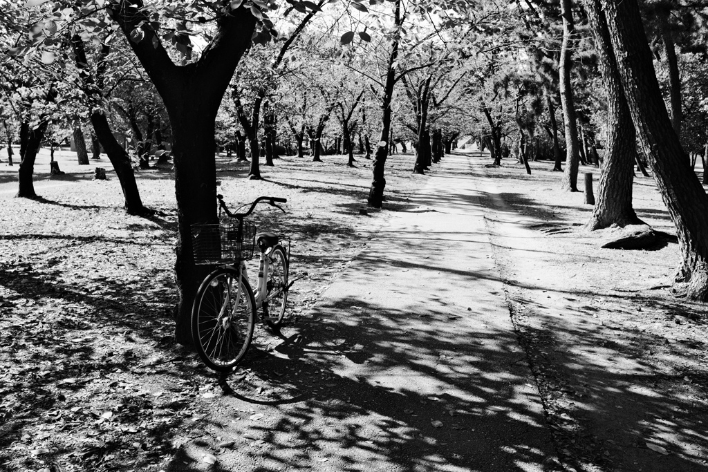 他人の自転車