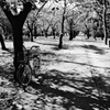 他人の自転車