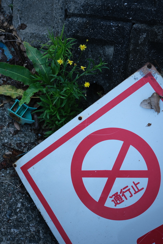 通行止め
