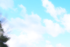 そら 