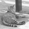 じっとしてくれてありがとう～