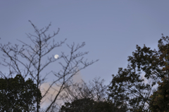 月は見ている