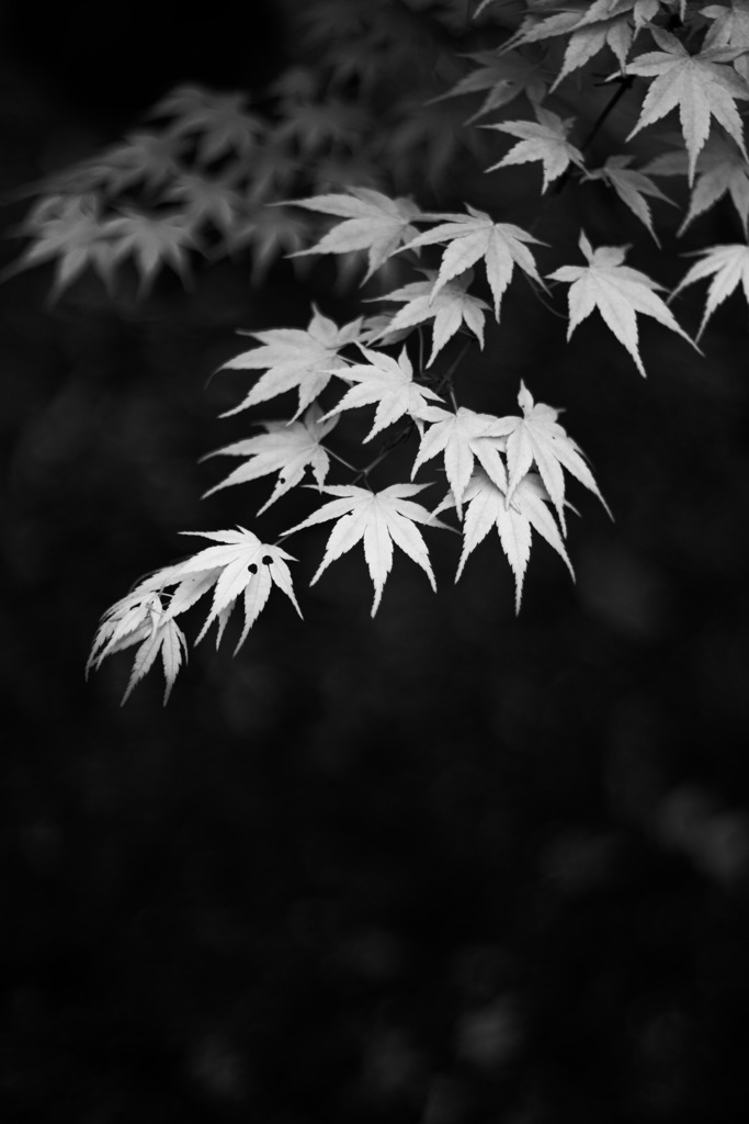 清流