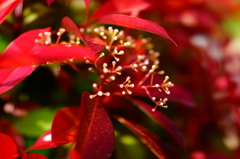 グレイ（宇宙人）の顔が隠れてる？